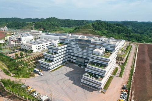 跨江越線筑精品 一軌飛架連雙城 軌道交通資陽(yáng)線車站正式亮相